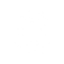 Missile Container Online